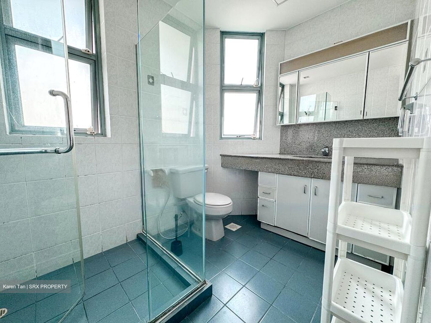 Astor Green (D21), Condominium #536682911